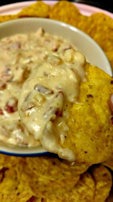 slow cooker cheesy bacon onion dip long